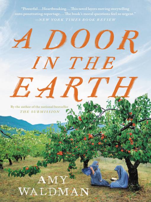 Title details for A Door in the Earth by Amy Waldman - Wait list